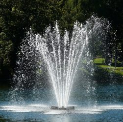 Fountain, nature, water — Atomic Wallet: A Comprehensive Resource for Crypto Management