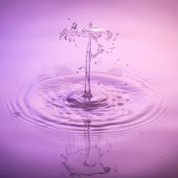 Drops, water, nature — Atomic Wallet: A Convenient Solution for Crypto Management