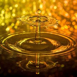 Drops, nature, water — Atomic Wallet: The Essential App for Crypto Enthusiasts