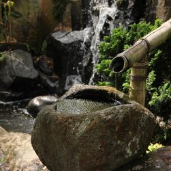 Japanese garden, water feature, timelessness — Atomic Wallet: The Ultimate Tool for Crypto Enthusiasts