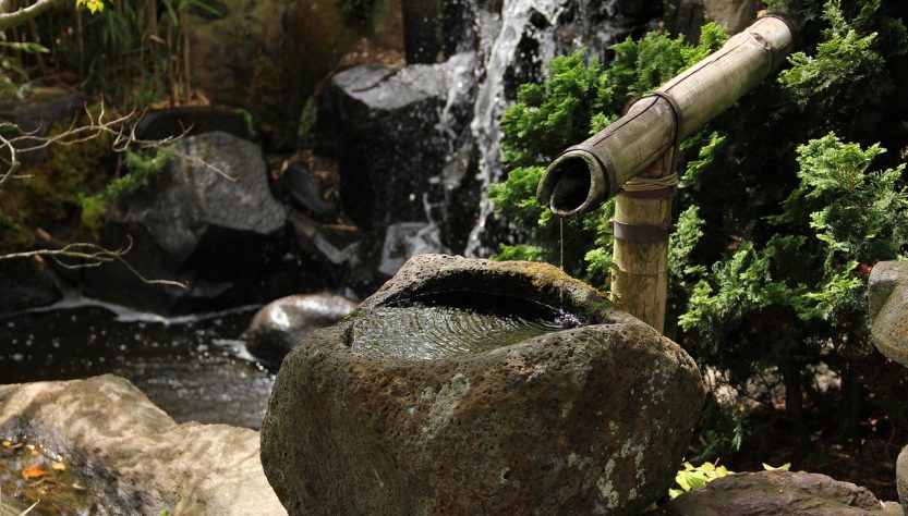 Japanese garden, water feature, timelessness — Atomic Wallet: The Ultimate Tool for Crypto Enthusiasts
