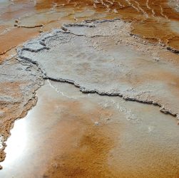 Travertine, mammoth hot springs, yellowstone national park — Discover the Versatility of Atomic Wallet for Crypto Management
