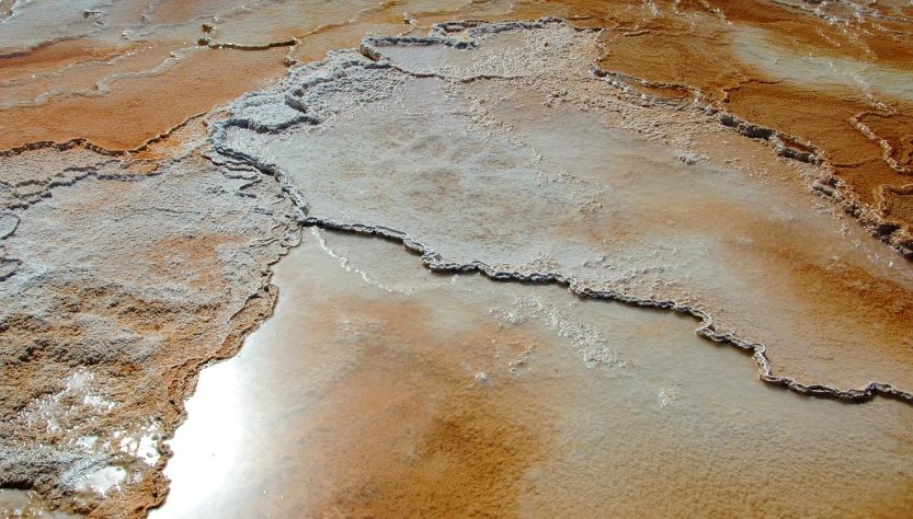Travertine, mammoth hot springs, yellowstone national park — Discover the Versatility of Atomic Wallet for Crypto Management