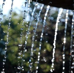 Fountain, beam, nature — Essential Steps to Download and Use Atomic Wallet