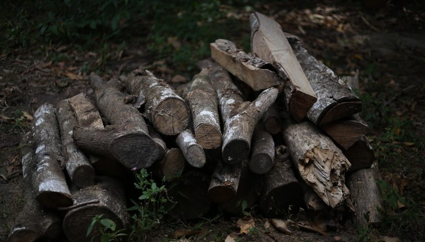 Firewood, wood, coal — Experience the Future of Crypto Management with Ledger Live