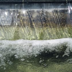 Fountain, water, pool of water — Experience the Future of Crypto Management with Ledger Live