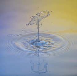 Drops, water, nature — Experience the Future of Crypto with Ledger Live