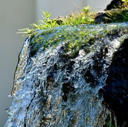 Water, fountain, water feature — Experience the Future of Crypto with Ledger Live