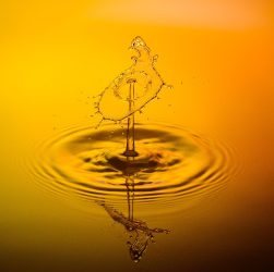 Drops, water, waterdrop — Experience the Future of Crypto with Ledger Live