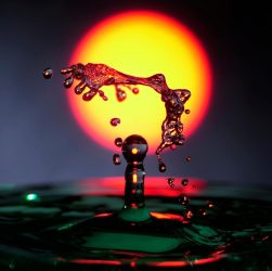 Splash, hover, high speed — Experience the Future of Crypto with Ledger Live