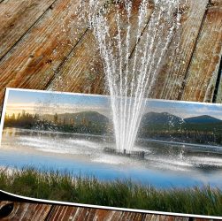 Lake, fountain, photo — Exploring the Features of the Atomic Wallet App