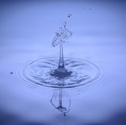 Drops, water, waterdrop — How Bscscan Serves as a Go-To Resource for Traders