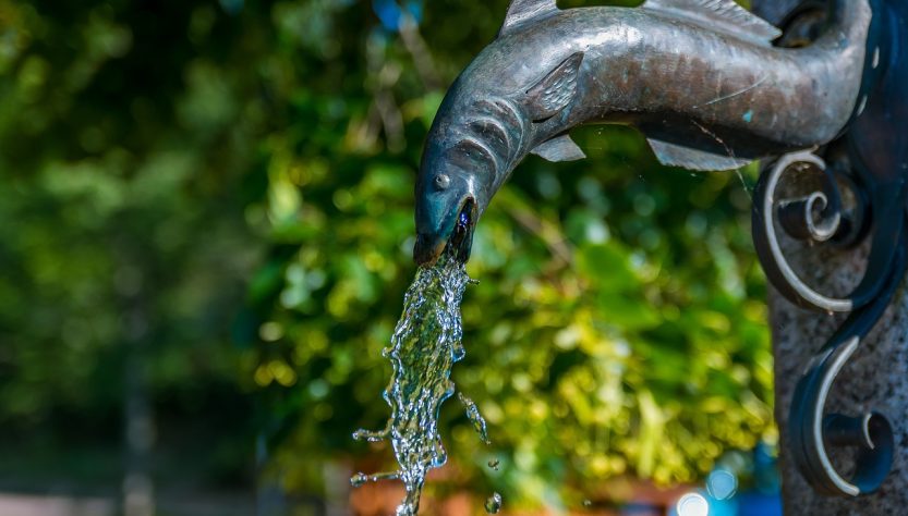 Brunne, water, life — How Bscscan Simplifies Blockchain Transactions for Users