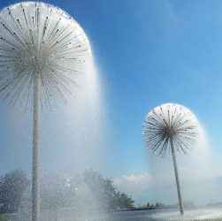Water, nature, fountain — Master Your Cryptos with Atomic Wallet Today
