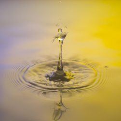 Drops, water, nature — Maximize Your Crypto Potential with Raydium Swap